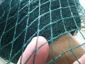 Light Duty Green 10 metre wide Anti Bird Net 